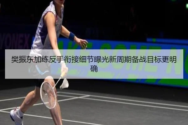 樊振东加练反手衔接细节曝光新周期备战目标更明确 - bet365 sportsbook